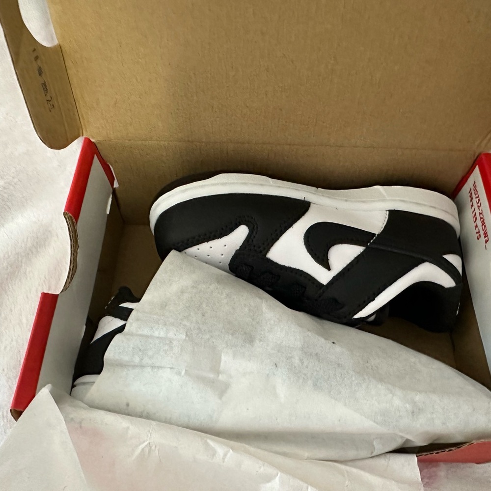 Nike dunk toddler